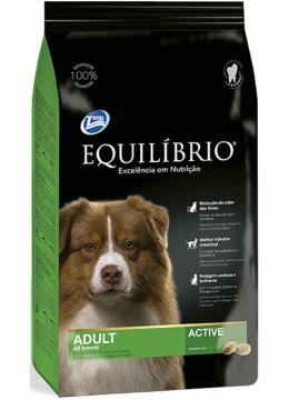 Equilibrio Adult Medium Breeds