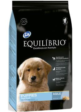 Equilibrio Puppies Large Breeds