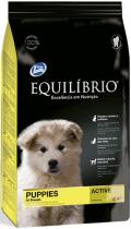 Equilibrio Puppies Medium Breeds