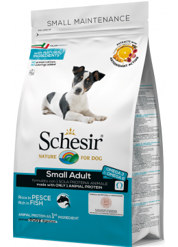 Schesir Small Adult  Fish