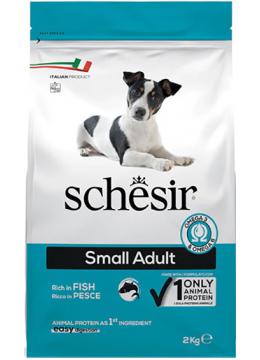 Schesir Small Adult  Fish