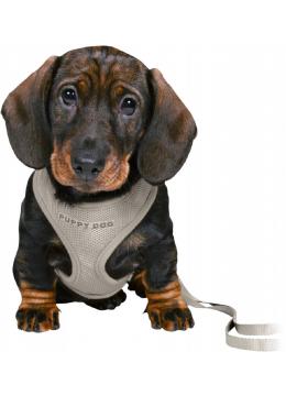 Trixie Junior Soft Harness Шлейка с поводком светло-серая