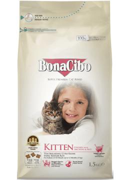 BonaCibo Kitten