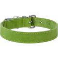 Изображение 1 - Collar WauDog Classic Кожаный ошейник салатовый