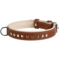 Изображение 1 - Collar WauDog Soft Кожаный ошейник с металлическими украшениями коричневый