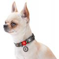 Изображение 1 - Collar Waudog Nylon з qr паспортом ошейник цвет леопард