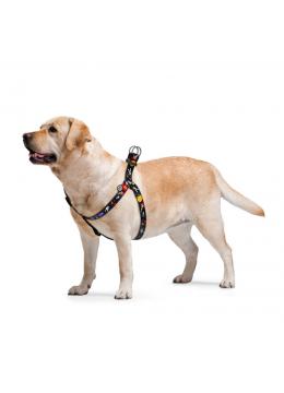Collar WauDog Nylon Nasa нейлоновая шлея