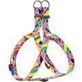 Изображение 1 - Collar WauDog Nylon Витраж нейлоновая шлея