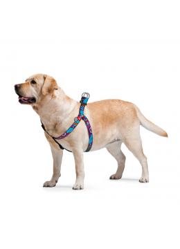 Collar WauDog Nylon Лето нейлоновая шлея