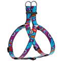 Изображение 1 - Collar WauDog Nylon Лето нейлоновая шлея