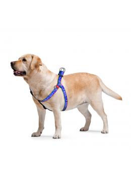 Collar WauDog Nylon Ловец снов нейлоновая шлея