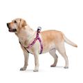 Изображение 1 - Collar WauDog Nylon Розовый камо нейлоновая шлея