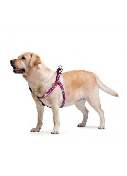Collar WauDog Nylon Розовый камо нейлоновая шлея