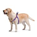 Изображение 1 - Collar WauDog Nylon Фиолетовый камо нейлоновая шлея