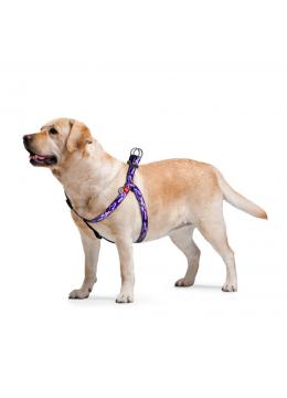 Collar WauDog Nylon Фиолетовый камо нейлоновая шлея