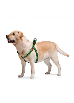 Collar WauDog Nylon Шотландка зеленая нейлоновая шлея