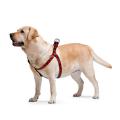 Изображение 1 - Collar WauDog Nylon Шотландка красная нейлоновая шлея