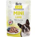 Изображение 1 - Brit Care Mini Филе ягненка в соусе