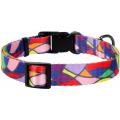 Изображение 1 - Collar WauDog Nylon Витраж нейлоновый ошейник