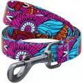 Изображение 1 - Collar WauDog Nylon Лето нейлоновый поводок