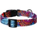 Изображение 1 - Collar WauDog Nylon Лето нейлоновый ошейник