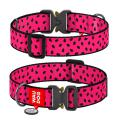 Изображение 1 - Collar WauDog Nylon Арбуз нейлоновый ошейник с металлической пряжкой