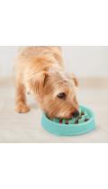 Outward Hound Fun Feeder Slo-Bowl Tiny Миска-лабиринт для собак бирюзовая