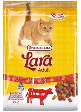 Lara Adult with Beef