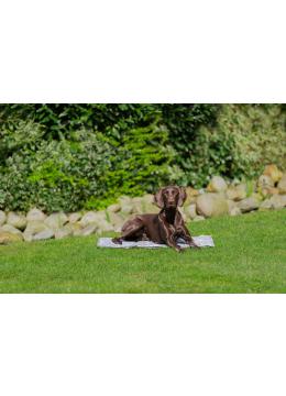 Trixi Cooling Mat Soft Коврик охлаждающий серый мрамор