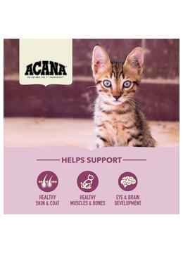 Acana First Feast Kitten