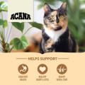 Изображение 1 - Acana Homestead Harvest Adult Cat