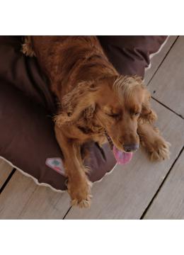 Pet Fashion Лежак Askold Коричнево-бежевый