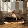 Изображение 1 - Pet Fashion Лежак Askold Коричнево-бежевый