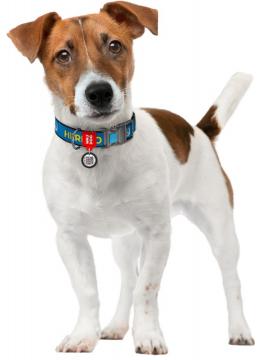 Collar WauDog Nylon Патрон нейлоновый ошейник