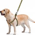 Изображение 1 - Collar WauDog Nylon Мілітарі нейлонова шлея