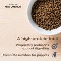 Изображение 1 - Diamond Naturals Puppy Small&Medium Breed Chicken&Rice