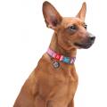Изображение 1 - Collar Waudog Re-Cotton с qr паспортом розовый