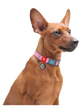 Collar Waudog Re-Cotton с qr паспортом розовый