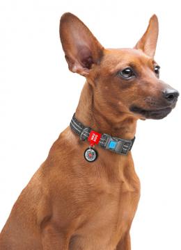 Collar Waudog Re-Cotton с qr паспортом серый