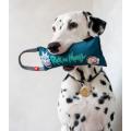 Изображение 1 - Collar Waudog fun с пищалкой 