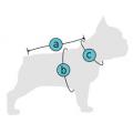 Изображение 1 - Collar Waudog Clothes с qr паспортом