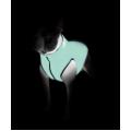 Изображение 1 - Collar AiryVest Lumi Куртка светится в темноте