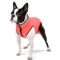 Изображение 1 - Collar AiryVest Курточка двусторонняя коралово-серая