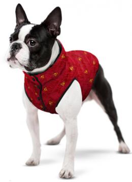 Collar Waudog Курточка с рисунком 