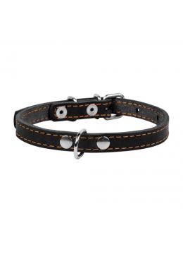 Collar ошейник одинарный черный