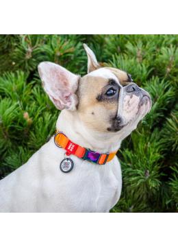 Collar WauDog Nylon Recycled c qr Паспортом Оранжевый