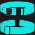 Изображение 1 - Collar WauDog Waterproof Флуоресцентный Ошейник с QR-Паспортом Метал