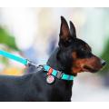 Изображение 1 - Collar WauDog Waterproof Флуоресцентный Ошейник с QR-Паспортом Метал