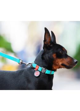 Collar WauDog Waterproof Флуоресцентный Ошейник с QR-Паспортом Метал