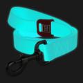 Изображение 1 - Collar WauDog Waterproof Флуоресцентный Поводок